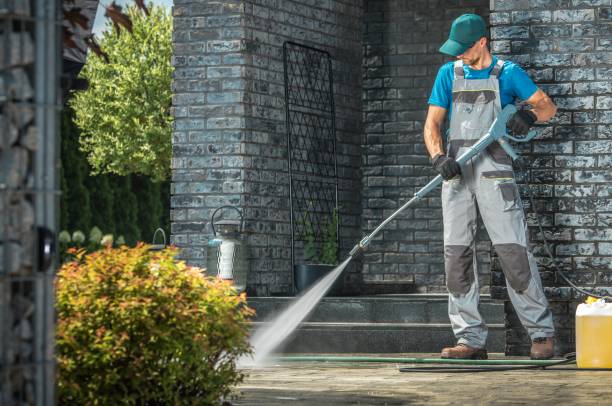 Best Sidewalk and Walkway Cleaning  in Despard, WV